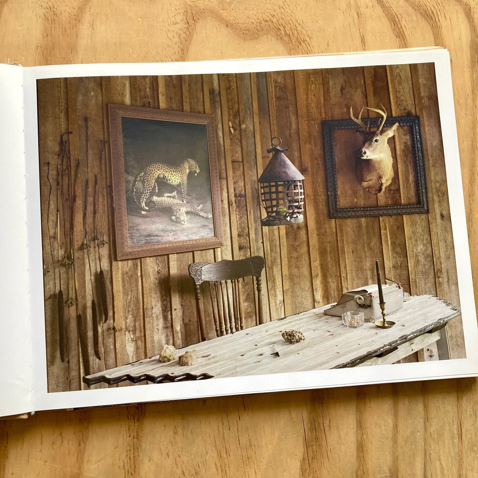 Lucas Foglia - A Natural Order | Photobook Junkies