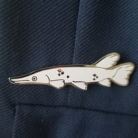 Image 2 of Alligator Gar
