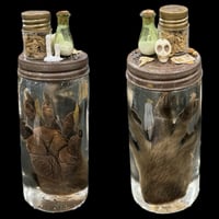Image 1 of Raccoon Paw & Mini Curio