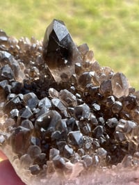 Image 4 of Smoky Quartz Crystal Points Cluster | Brazil #2971