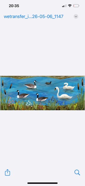 Image of Wild Goose Chase 