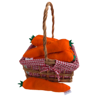 🥕 🌼Spring Time Catnip Carrot Kickers🌼 🥕