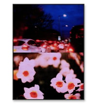 Image 3 of NIGHT DRIVE, DAFFODILS IV