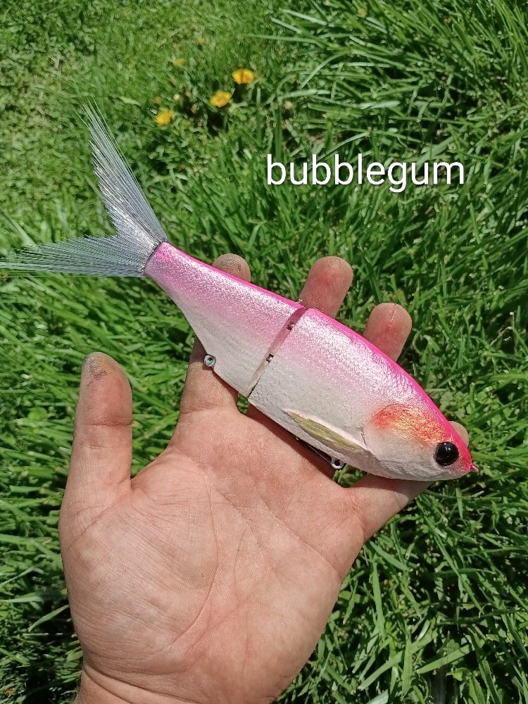 Image of 9 inch Snack