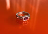 Image 1 of Sensibilité 2 - Collection Velours