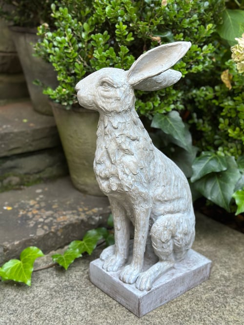 Image of Handsome Hare  on base