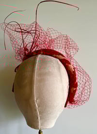 Image 4 of Red ‘face hugger’