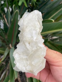 Image 6 of UV Reactive Calcite #1590