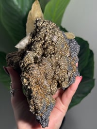 Image 4 of XXL SWEETWATER CALCITE WITH PYRITE -MISSOURI- PORCUPINE POCKET 2025 B