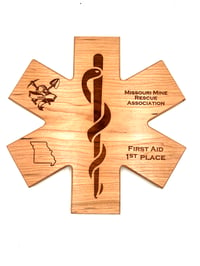 Image 1 of Star of Life Plaque