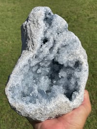 Image 12 of Celestite Geode #1801