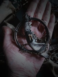 Image 4 of Opossum jaw 