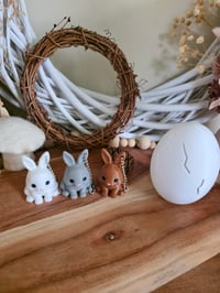 Image 5 of Mystery bunny keychain eggs