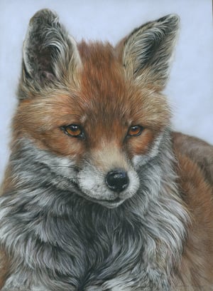 Image of 'Foxy Lady' Limited Edition Print