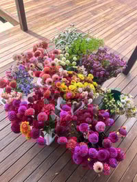 Image 1 of Blooming Bucket - Friday 24th Jan 