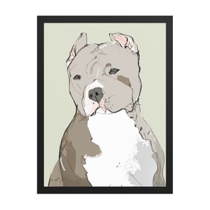 Image of PIT BULL