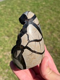 Image 8 of Septarian Nodule Polished Freeform | Madagascar #3228