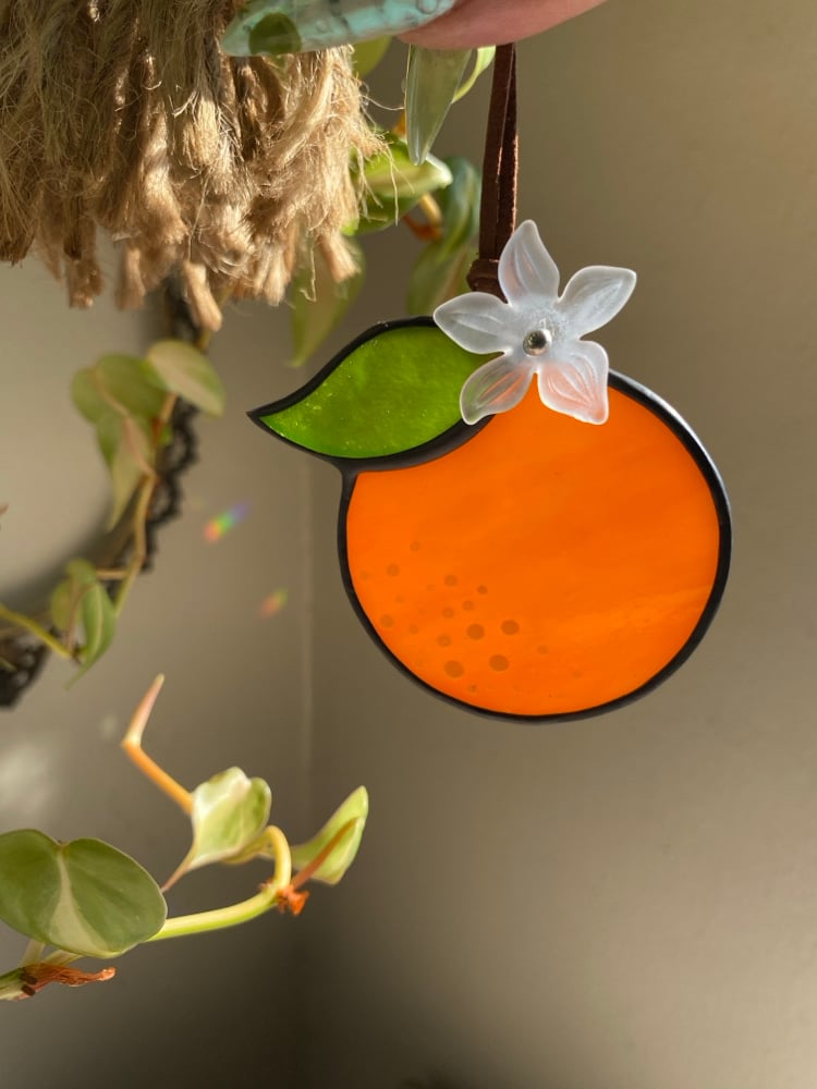 Image of Oranges with Bloom