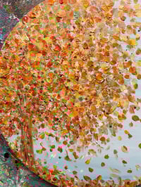 Image 5 of October Moments