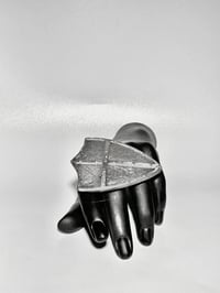 Image 4 of Somatic Shield Ring