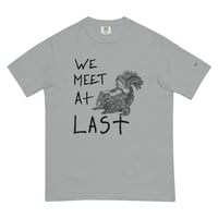 Image 10 of we meet at last skunk
