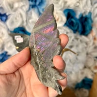 Image 3 of Labradorite Butterfly Wings (64D)