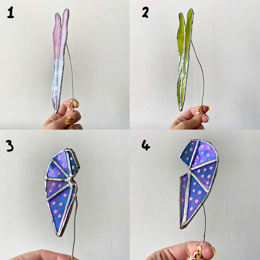 Image of Glass Plant *Old Stock*