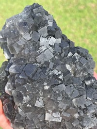 Image 17 of Green Cubic Fluorite Specimen #967