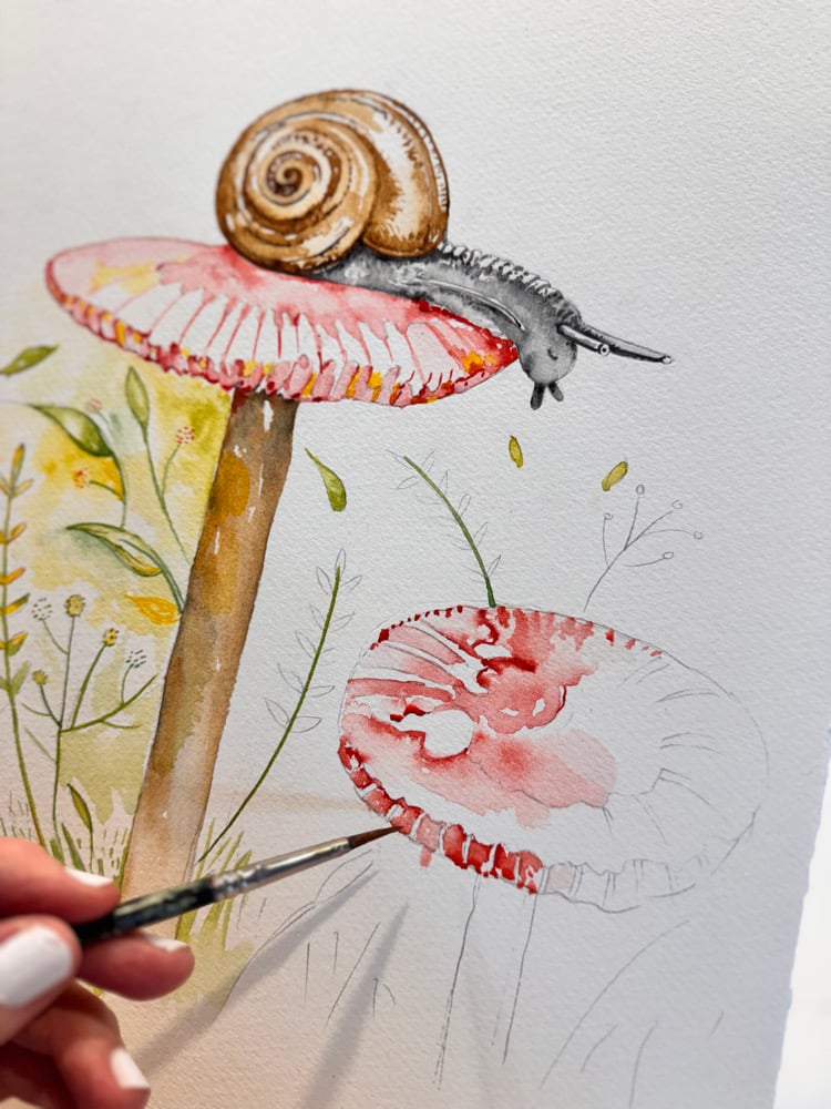 Image of Twinkle the snail