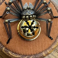 Image 3 of Jingle spider (b, 3.5 inches)