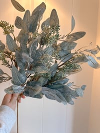 Image 1 of Frosted Eucalyptus & Foilage Bouquet