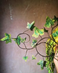Image 3 of GARDEN OF POISONS Series II: Ivy (Hedera Helix)