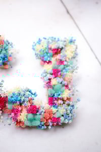 Image 3 of Letras de flores secas y preservadas