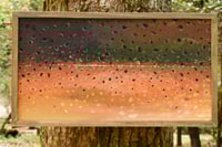 Image 2 of Trout Fish Skins (Options)