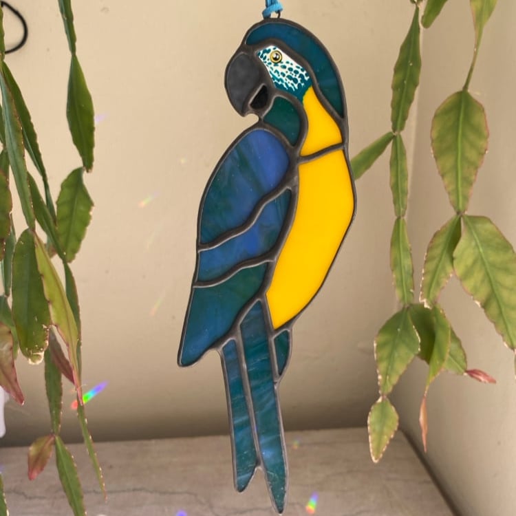 Image of Blue Throated Macaw