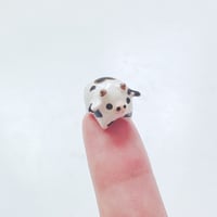Image 5 of Tiny Chubby cow figurine