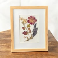Image 4 of Genuine Chrysanthemum, Rose, Veronica And Hydrangea Wildflower Art In 8" X 10" Frame (Item# 2021148)