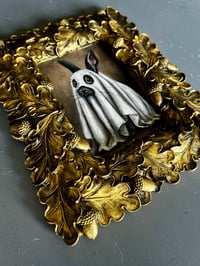 Image 2 of Liebre fantasma 