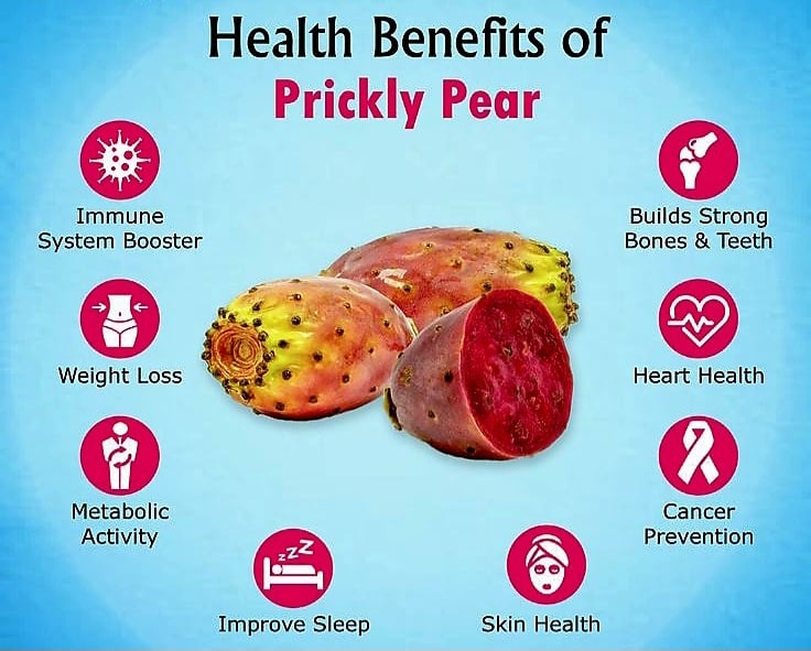 Prickly Pear/Dragon Fruit/Nopales. Prebiotic-Diabetes-Heavy Metals-Cell Repair-Diabetes-Serotonin