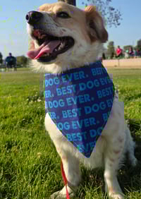 Image 2 of Best Dog Bandana