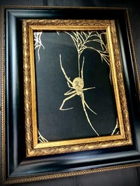 Image 1 of Gold Widow (Framed) 