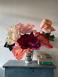 Image 2 of Fleur pavot Crespa à choisir - me contacter 