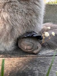 Image 5 of Mushaboo - Merrymoss