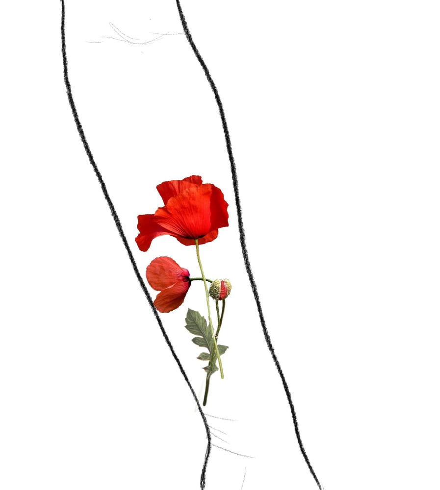 Image of Poppy Tattoo #6 