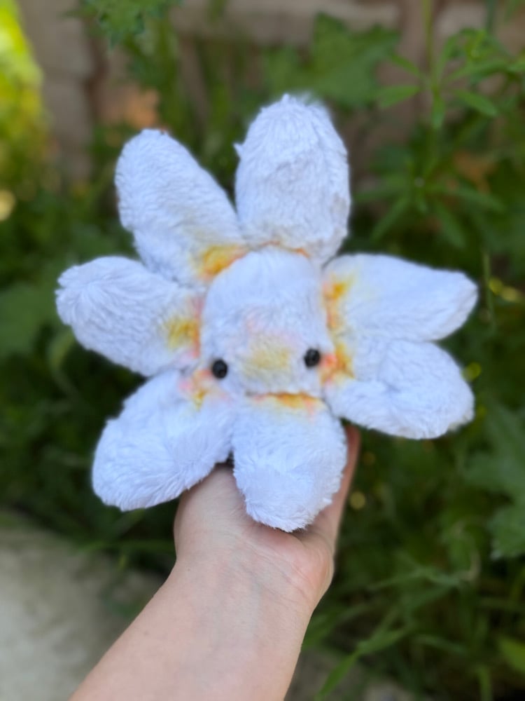 Image of plumeria