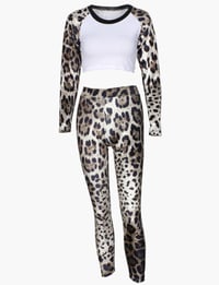 Leopard