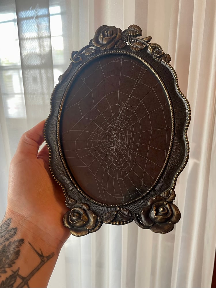 Image of Framed spiderweb