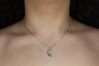 Image 2 of Celestial Moon