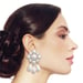 Image of Simply Classy Silver Earrings  