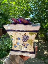 Image 3 of African Violet in Square Grape Pot